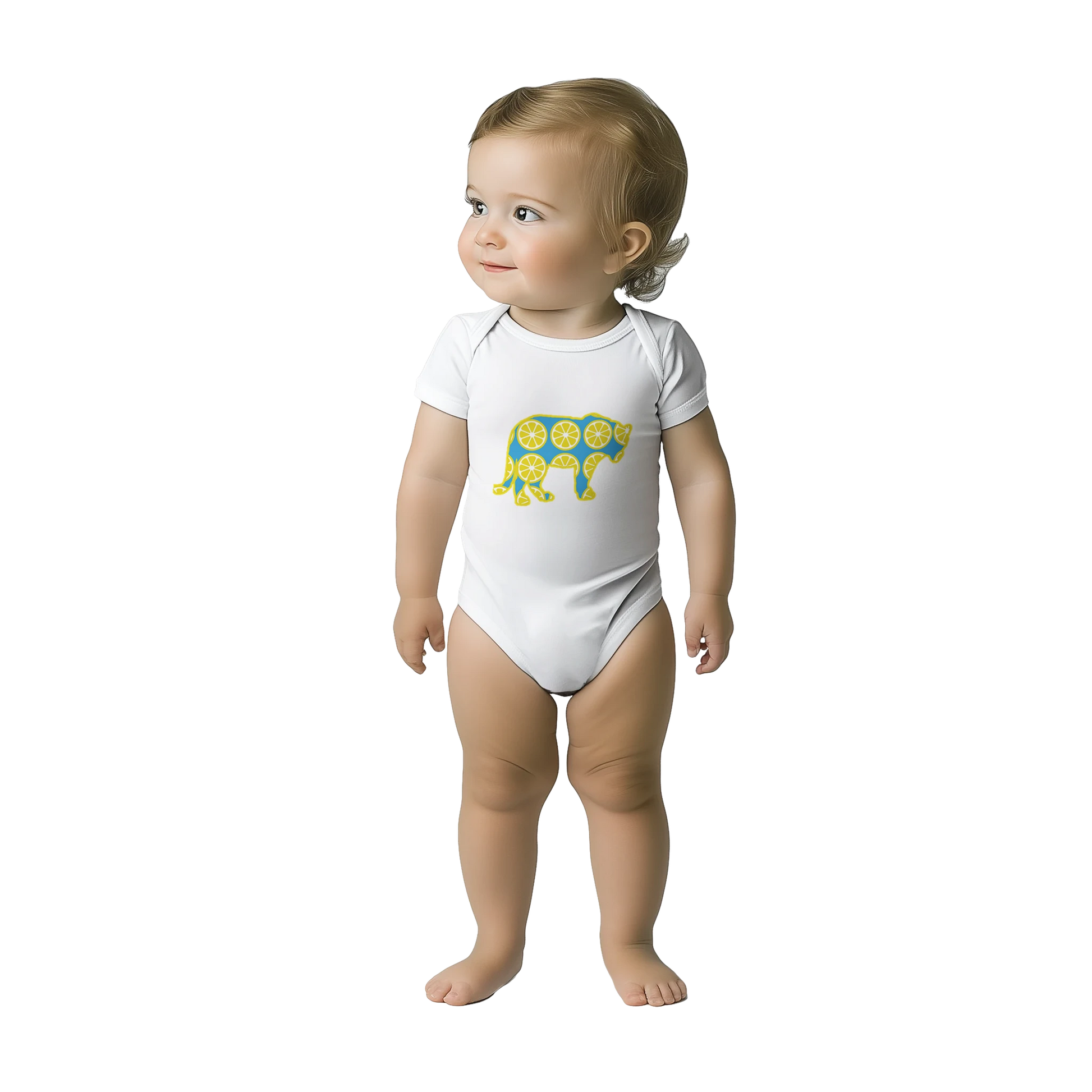 e0924d52-e367-4cb1-81bb-4e6d04506ac8